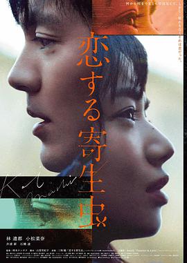 4K电影《雪落无声》高清海报